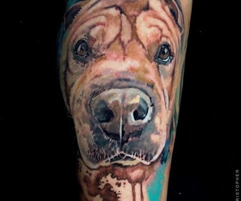 Dog Portrait on Arm in Color | Electric Fresco Tattoos PDX