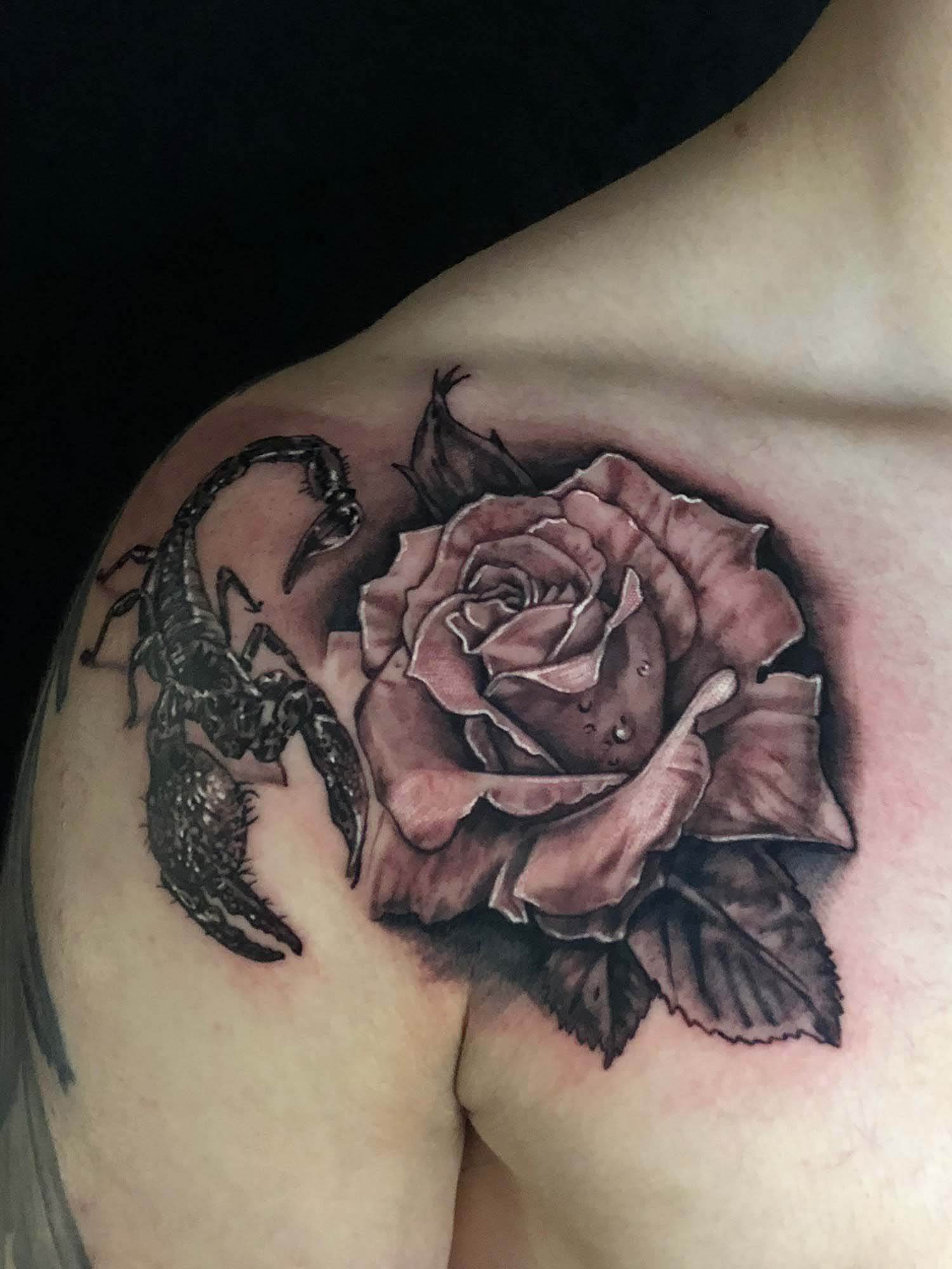 Scorpion wraped in vine holding Rose  Tattoos By Sergio Cr  Flickr